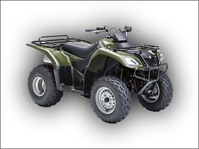 Atv All-Terrine Four-wheeler Quad Manuals