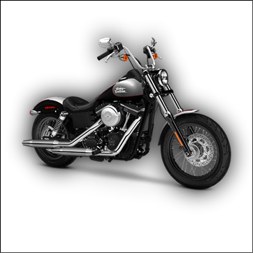 Motorcycle Repair Manual, Street Bike Service Manual, Chopper Manuals